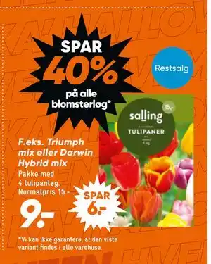 Spar 40% på alle blomsterløg