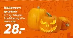 Bilka Halloween græskar, DKK 28 tilbud