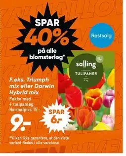 Bilka Triumph mix eller Darwin Hybrid mix, DKK 9 tilbud