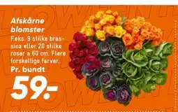 Bilka Afskårne blomster, DKK 59 tilbud