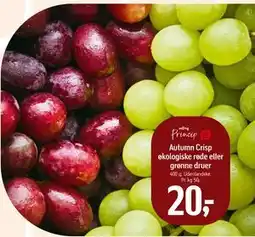 Føtex Autumn Crisp økologiske røde eller grønne druer, DKK 20 tilbud
