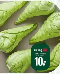 Føtex Dansk spidskål, DKK 10 tilbud