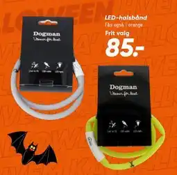 Bilka LED-halsbånd, DKK 85 tilbud