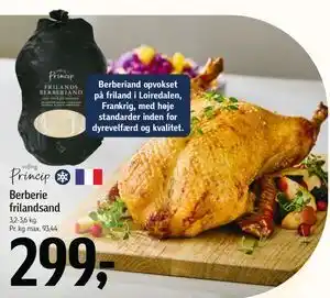 Føtex Berberie frilandsand, DKK 299 tilbud