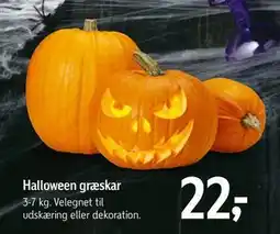 Føtex Halloween græskar, DKK 22 tilbud