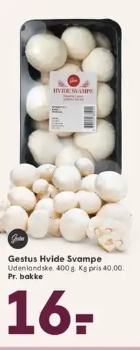 SPAR Gestus Hvide Svampe tilbud