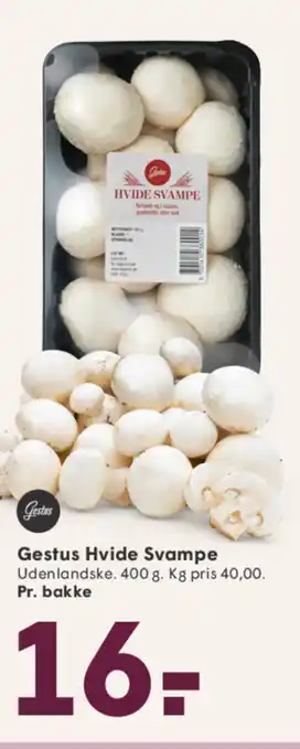 SPAR Gestus Hvide Svampe tilbud