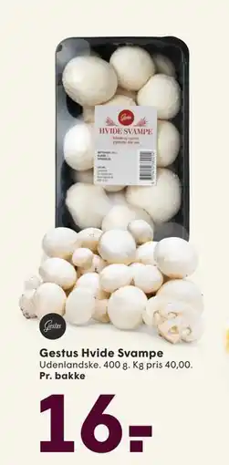 SPAR Gestus Hvide Svampe, DKK 16 tilbud