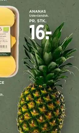 MENY ANANAS, DKK 16 tilbud