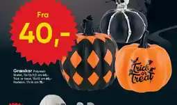 BigDollar Græskar Polyresin tilbud