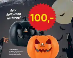 BigDollar Lanterne tilbud