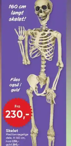 BigDollar Skelet tilbud
