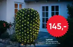 BigDollar Lysnet tilbud
