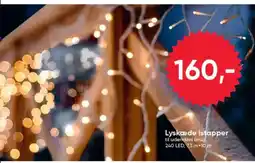 BigDollar Lyskæde istapper tilbud