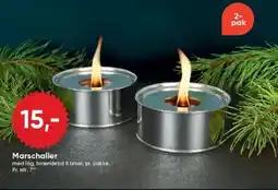 BigDollar Marschaller tilbud