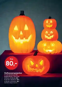 BigDollar Halloweengræskar tilbud