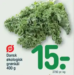 REMA 1000 Dansk Økologisk grønkål tilbud