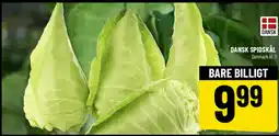 Løvbjerg Dansk spidskål tilbud