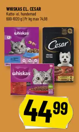 Løvbjerg Whiskas el. Cesar tilbud