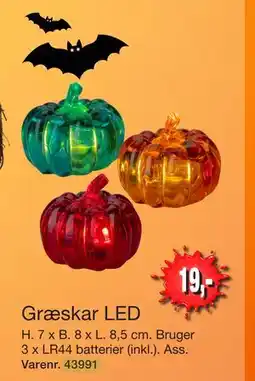 Harald Nyborg Græskar LED, DKK 19 tilbud