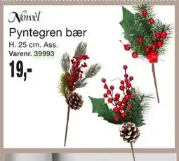 Harald Nyborg Pyntegren bær, DKK 19 tilbud