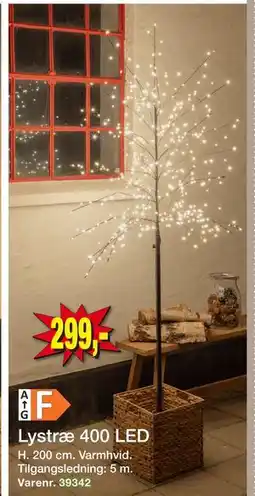 Harald Nyborg Lystræ 400 LED, DKK 299 tilbud