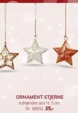 Daells Bolighus Ornament stjerne tilbud