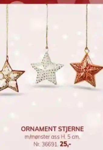 Daells Bolighus Ornament stjerne tilbud