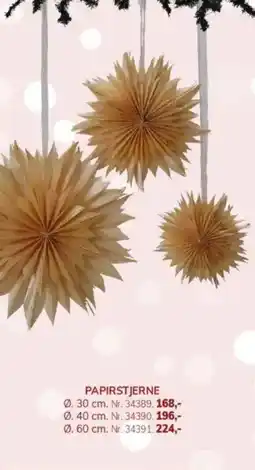 Daells Bolighus Papirstjerne tilbud