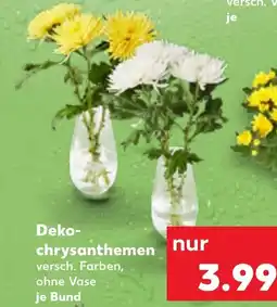 Kaufland DE Deko- chrysanthemen tilbud