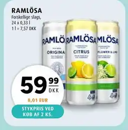 Scandinavian Park RAMLÖSA, DKK 59.99 tilbud