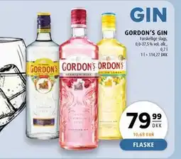 Scandinavian Park GORDON’S GIN, DKK 79.99 tilbud