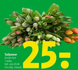 Coop 365 Tulipaner tilbud