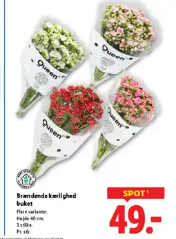 Lidl Brændende kærlighed buket tilbud