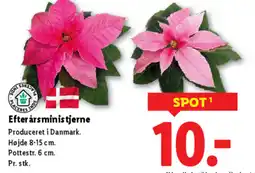 Lidl Efterårsministjerne tilbud