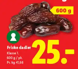 Lidl Friske dadler tilbud