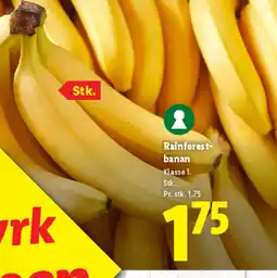 Lidl Rainforest- banan tilbud