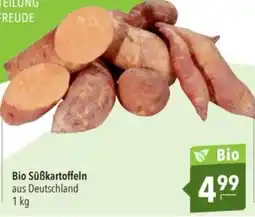 Citti Bio Süßkartoffeln tilbud