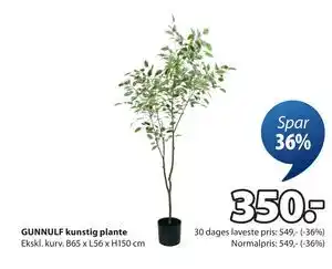 JYSK GUNNULF kunstig plante, DKK 350 tilbud