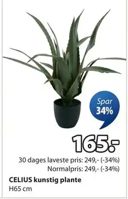 JYSK CELIUS kunstig plante, DKK 165 tilbud