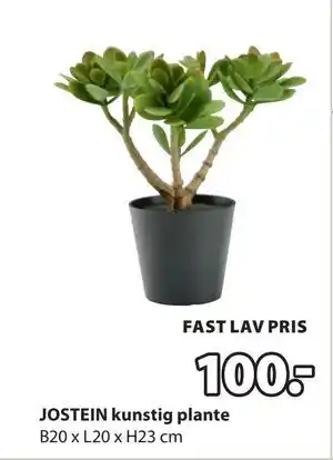JYSK JOSTEIN kunstig plante, DKK 100 tilbud
