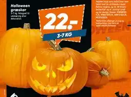 Bilka Halloween græskar, DKK 22 tilbud