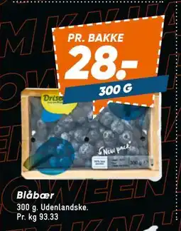 Bilka Blåbær, DKK 28 tilbud