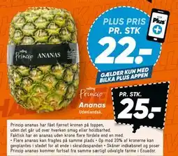 Bilka Ananas, DKK 25, App-pris tilbud