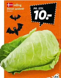 Bilka Dansk spidskål, DKK 10 tilbud
