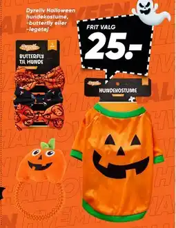 Bilka Dyreliv Halloween hundekostume, -butterfly eller -legetøj, DKK 25 tilbud