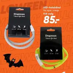 Bilka LED-halsbånd, DKK 85 tilbud