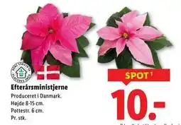 Lidl Efterårsministjerne, DKK 10 tilbud