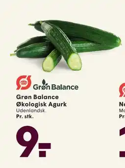 SPAR Grøn Balance Økologisk Agurk, DKK 9 tilbud
