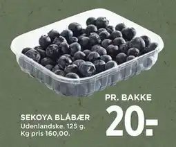 MENY SEKOYA BLÅBÆR, DKK 20 tilbud